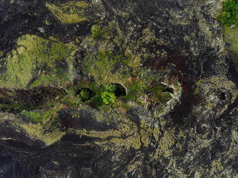 Big Island (Kona & Hilo): Aerial shot of green vegetation contrasting with volcanic rocks in Kailua-Kona, Hawaii.