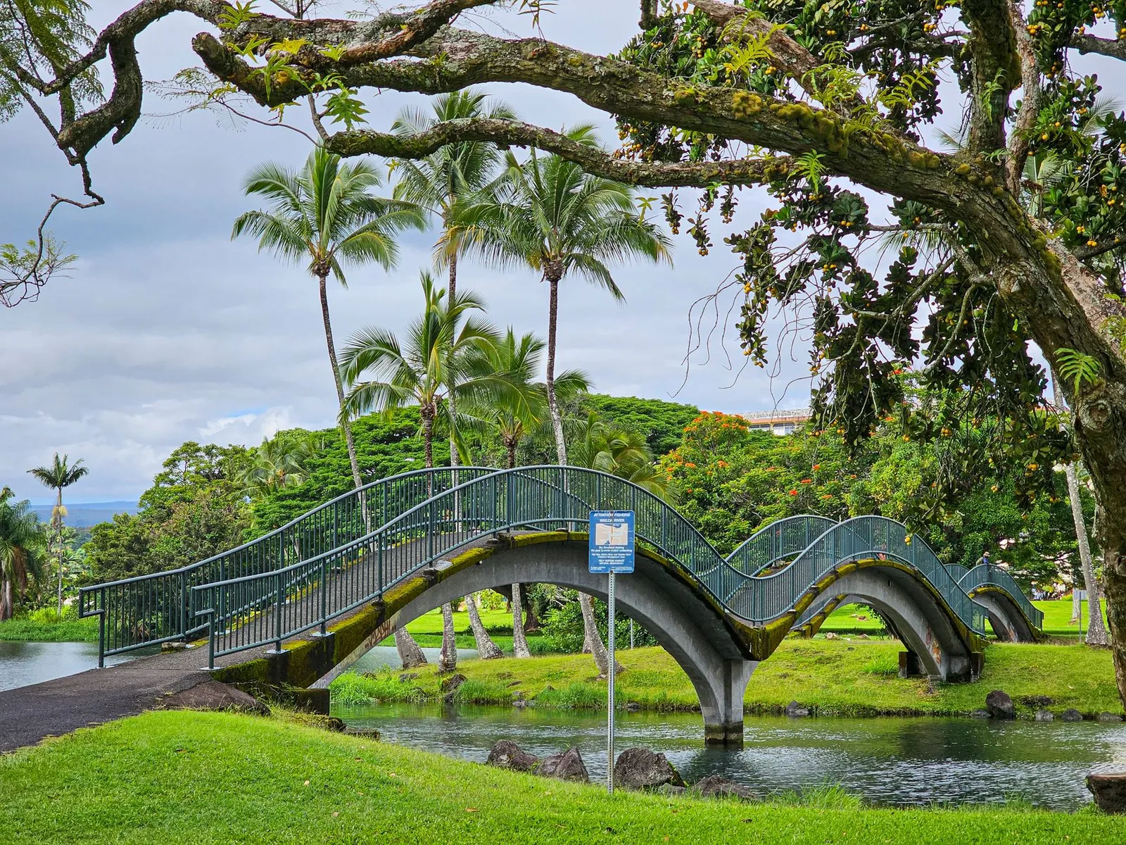 Big Island (Kona & Hilo): Curved footbridge surrounded by tropical greenery in a Hilo, HI park.