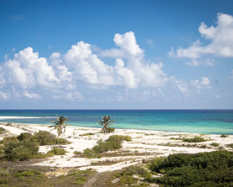 Cozumel: A breathtaking view of Cozumel's beach with azure waters and clear skies, ideal for travel inspiration.