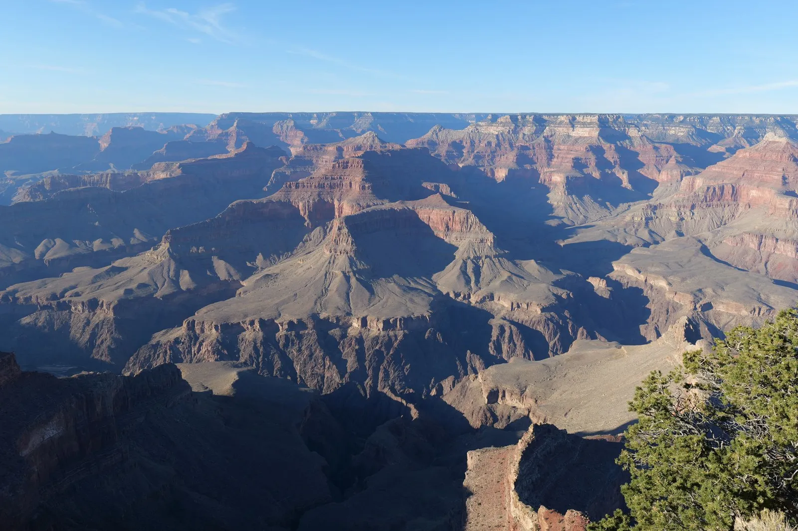 Grand Canyon: Captivating aerial view of the majestic Grand Canyon under clear skies.
