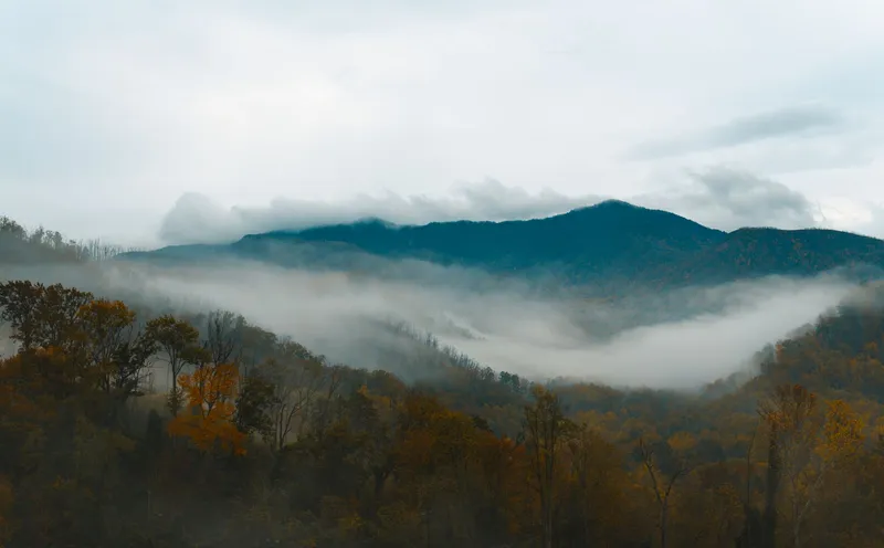Great Smoky Mountains: Serene mist over Smoky Mountains and autumn forest in Gatlinburg, TN.
