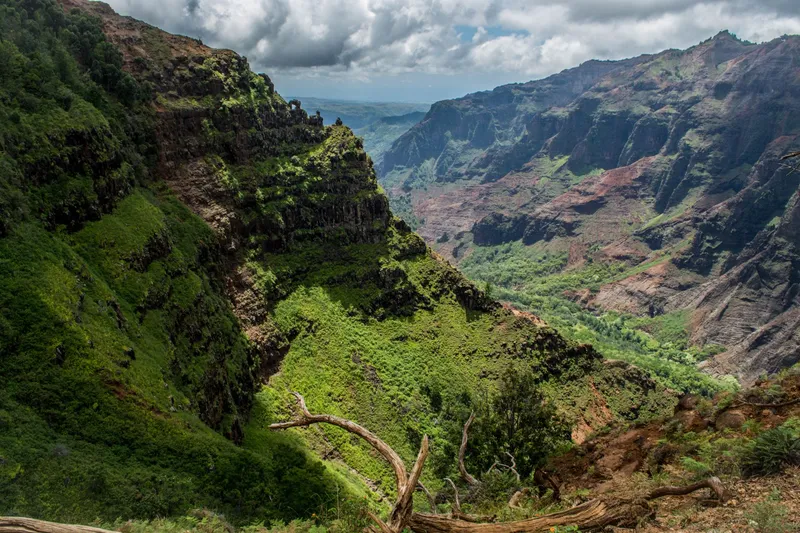 Kauai: Breathtaking view of Waimea Canyon's lush, vibrant landscapes under a dramatic sky in Kauai, Hawaii.