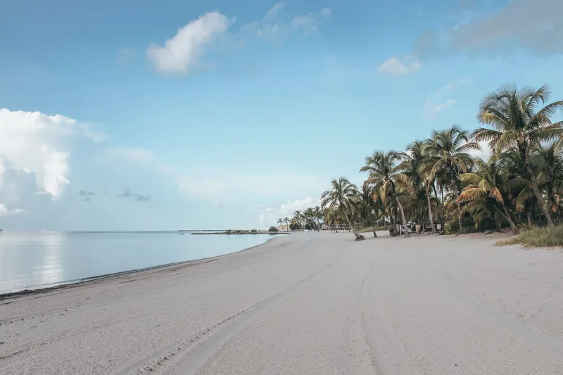 Key West: Peaceful white sandy beach with palm trees in Key West under a clear blue sky.