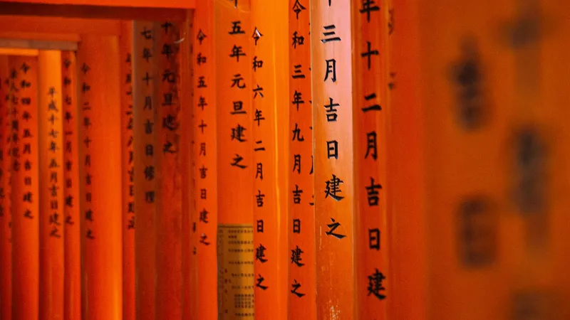 Kyoto & Osaka: Detailed view of torii gates with Japanese inscriptions at Fushimi Inari Shrine, Kyoto.