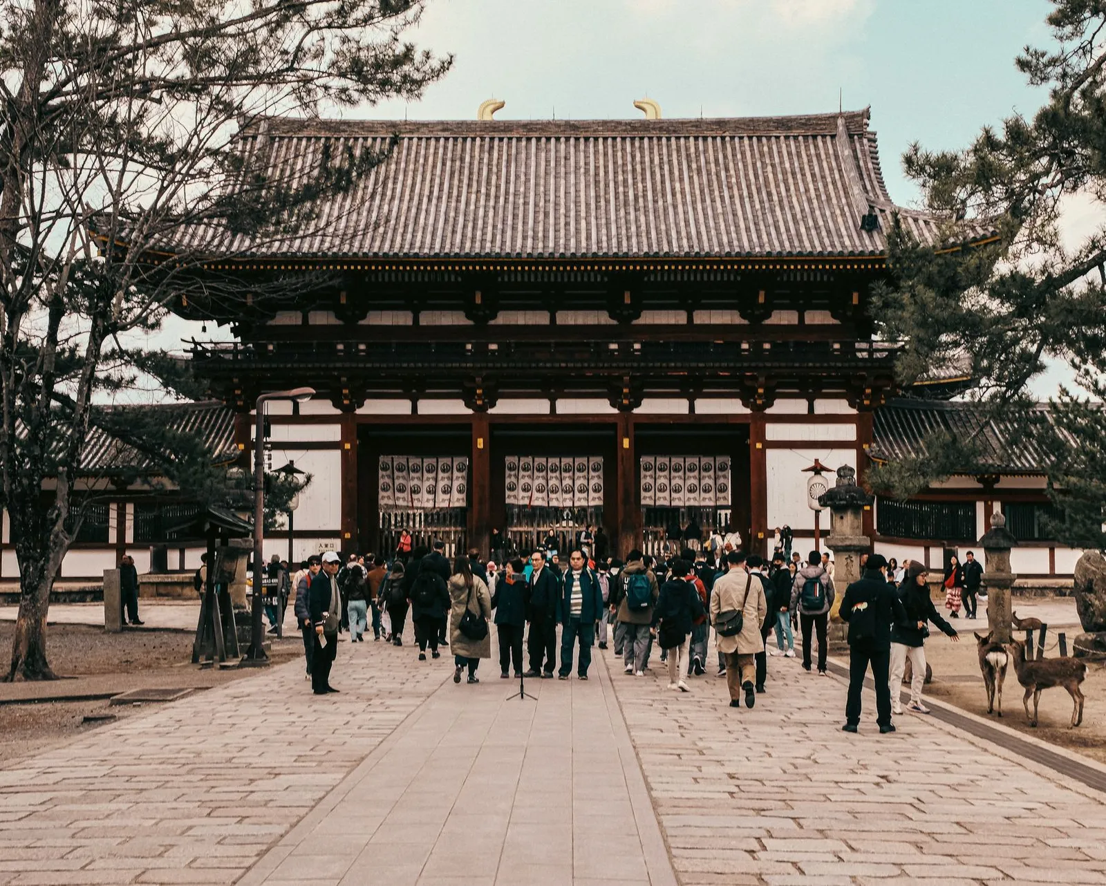 Kyoto & Osaka: Crowd of tourists exploring a historic temple in Kyoto, Japan, surrounded by nature.