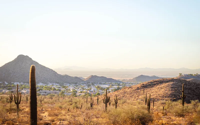Phoenix & Scottsdale: A stunning desert landscape with cacti and distant mountains near Phoenix, Arizona during sunset.