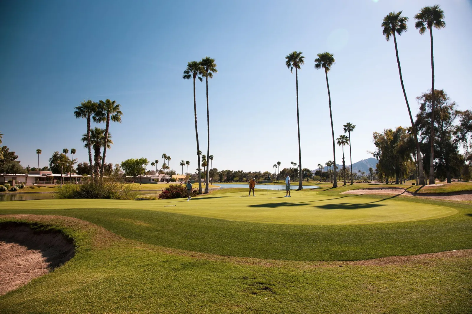 Phoenix & Scottsdale: Sunny day at a Scottsdale golf course with palm trees and mountains in view.